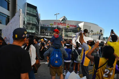 DSC_7156 (Large).JPG